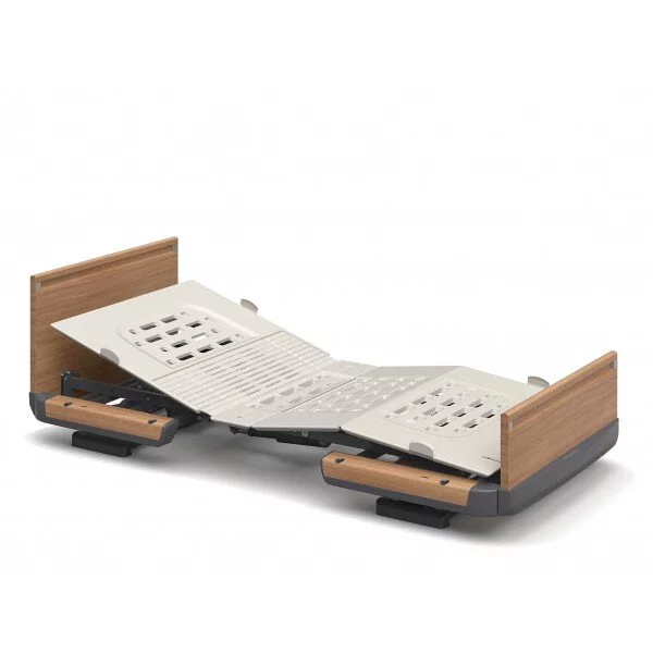 日本Paramount Bed 樂匠Z電動護理床 (連配件)